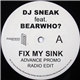 DJ Sneak feat. Bearwho? - Fix My Sink